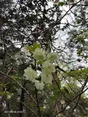 息栖神社の自然