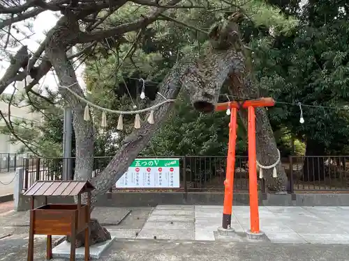 玉村八幡宮の庭園