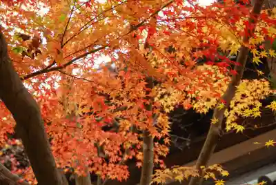 覚苑寺(山口県)