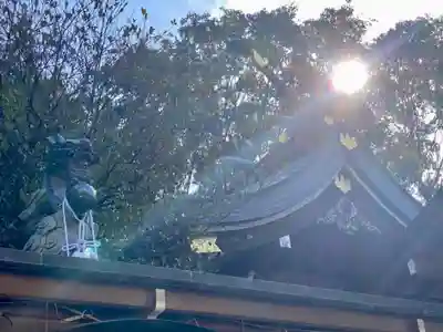 恩智神社(大阪府)