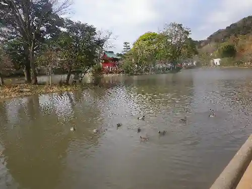 鶴岡八幡宮の庭園