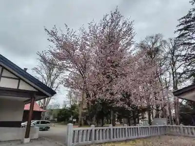 永山神社(北海道)