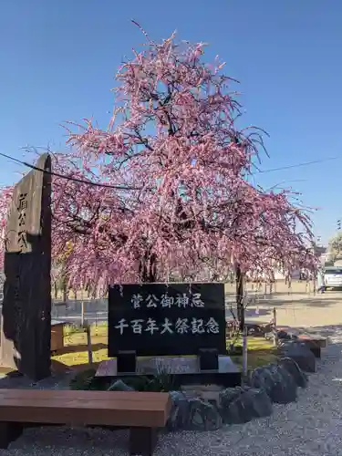 岡崎天満宮の自然