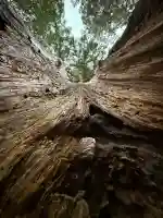丹生神社(丹生川上神社中社摂社)の{uncategorized: "未分類", other: "その他", undefined: "問題あり", building: "その他建物", grave: "お墓", sacred_gate: "鳥居", guardian: "狛犬", statue: "像", buddha: "仏像", history: "歴史", nature: "自然", garden: "庭園", animal: "動物", pagoda: "塔", temizu: "手水舎", mountain_gate: "山門・神門", sanctuary: "本殿・本堂", subordinate: "末社・摂社", art: "芸術", scenery: "景色", jizo: "地蔵", ema: "絵馬", goshuin: "御朱印", omikuji: "おみくじ", items: "授与品その他", amulet: "お守り", goshuincho: "御朱印帳", eats: "食事", festival: "お祭り", votive_dance: "神楽", shichigosan: "七五三参", wedding: "結婚式", experience: "体験その他", initially: "初詣", around: "周辺", anti_infection: "感染症対策"}