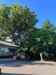 日吉神社の建物その他