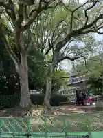 熊本大神宮(熊本県)