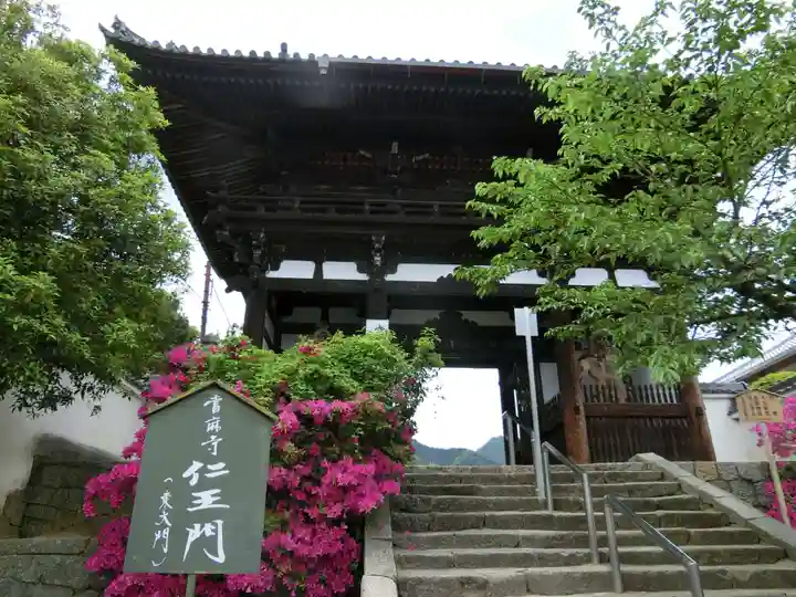 當麻寺の山門・神門