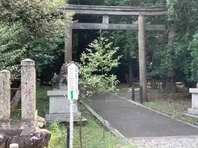 若狭彦神社（上社）の鳥居