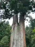 室生龍穴神社(奈良県)