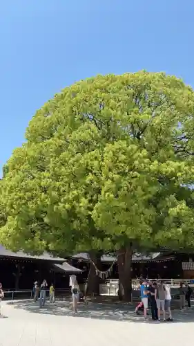 明治神宮の{uncategorized: "未分類", other: "その他", undefined: "問題あり", building: "その他建物", grave: "お墓", sacred_gate: "鳥居", guardian: "狛犬", statue: "像", buddha: "仏像", history: "歴史", nature: "自然", garden: "庭園", animal: "動物", pagoda: "塔", temizu: "手水舎", mountain_gate: "山門・神門", sanctuary: "本殿・本堂", subordinate: "末社・摂社", art: "芸術", scenery: "景色", jizo: "地蔵", ema: "絵馬", goshuin: "御朱印", omikuji: "おみくじ", items: "授与品その他", amulet: "お守り", goshuincho: "御朱印帳", eats: "食事", festival: "お祭り", votive_dance: "神楽", shichigosan: "七五三参", wedding: "結婚式", experience: "体験その他", initially: "初詣", around: "周辺", anti_infection: "感染症対策"}