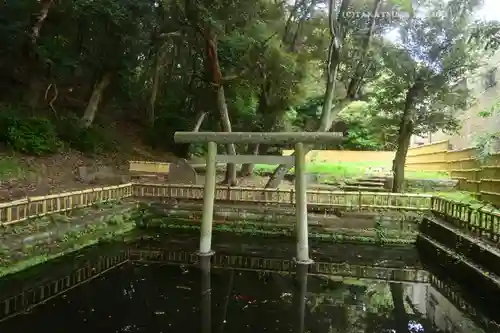 大洗磯前神社(茨城県)
