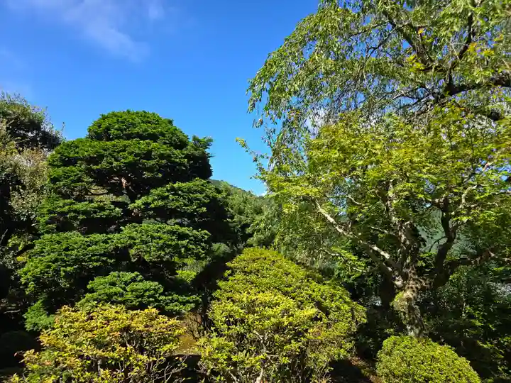 尊勝院(和歌山県)