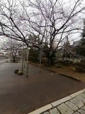 無量壽院の自然