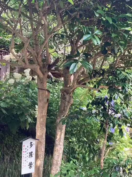 佛日庵(神奈川県)