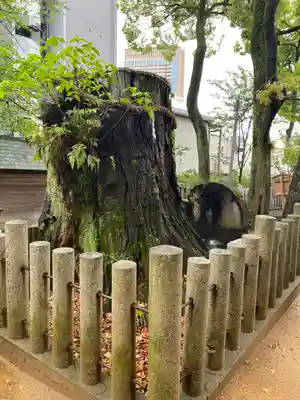 生田神社(兵庫県)