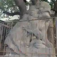 御田八幡神社の狛犬