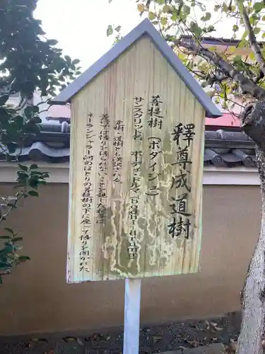 眼蔵寺(神奈川県)