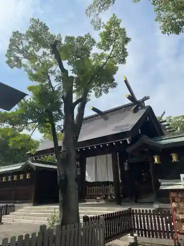 和泉國一之宮　大鳥大社(大阪府)