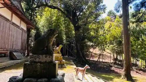 多田神社(福井県)