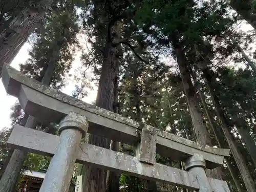 大宮温泉神社(栃木県)