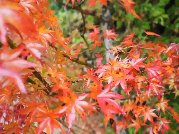 円成寺の{uncategorized: "未分類", other: "その他", undefined: "問題あり", building: "その他建物", grave: "お墓", sacred_gate: "鳥居", guardian: "狛犬", statue: "像", buddha: "仏像", history: "歴史", nature: "自然", garden: "庭園", animal: "動物", pagoda: "塔", temizu: "手水舎", mountain_gate: "山門・神門", sanctuary: "本殿・本堂", subordinate: "末社・摂社", art: "芸術", scenery: "景色", jizo: "地蔵", ema: "絵馬", goshuin: "御朱印", omikuji: "おみくじ", items: "授与品その他", amulet: "お守り", goshuincho: "御朱印帳", eats: "食事", festival: "お祭り", votive_dance: "神楽", shichigosan: "七五三参", wedding: "結婚式", experience: "体験その他", initially: "初詣", around: "周辺", anti_infection: "感染症対策"}