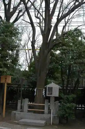 護王神社の自然