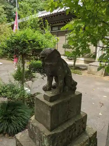 馬場氷川神社の狛犬