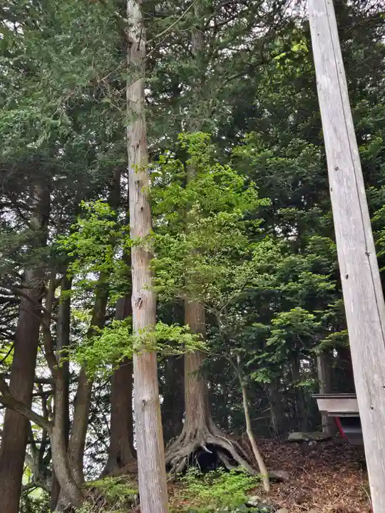 薬明神社(山梨県)