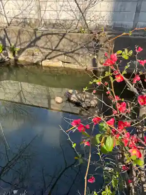 磐井神社(東京都)