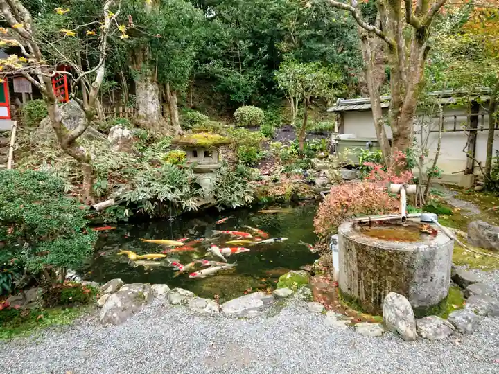 一條殿 新善光寺の動物