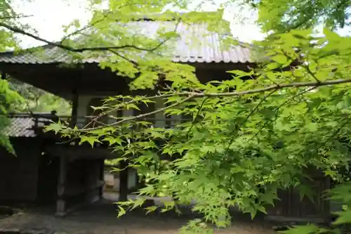 高源寺の山門・神門