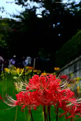 横浜　西方寺(神奈川県)