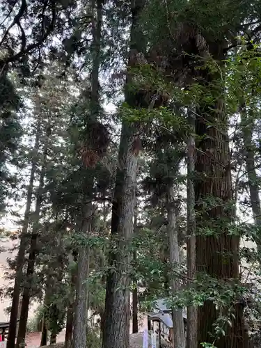 大宮温泉神社(栃木県)