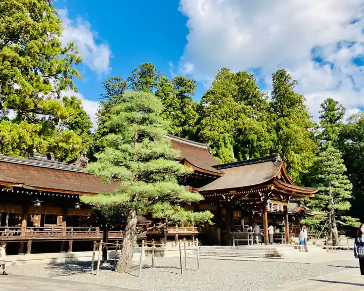 多賀大社の本殿・本堂