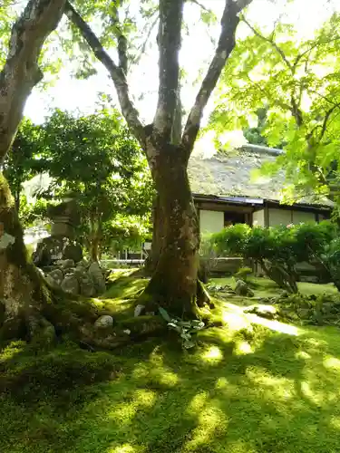 若狭神宮寺の庭園