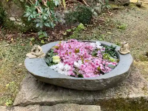 かっぱの寺 栖足寺の手水