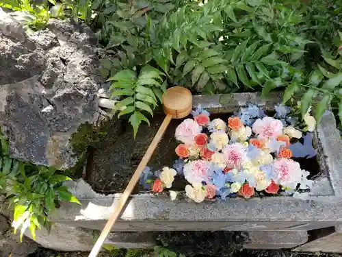 本郷氷川神社の手水