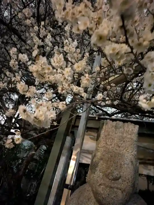 玉眞院玉川大師(東京都)