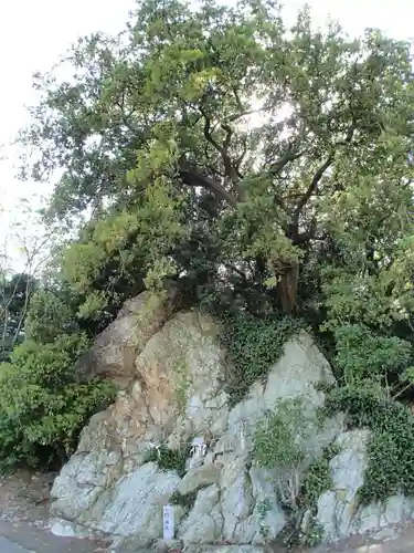 小門神社の景色