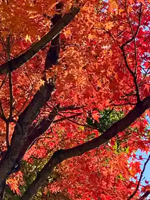 長建寺(京都府)