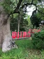 稲荷神社の自然