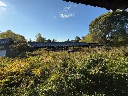 東福禅寺（東福寺）(京都府)