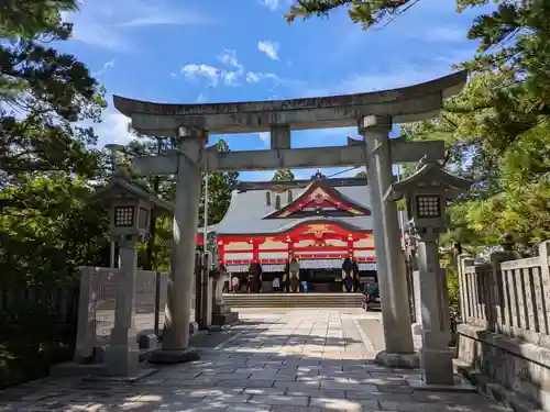 日枝神社の鳥居