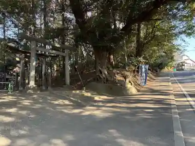 腰掛神社の{uncategorized: "未分類", other: "その他", undefined: "問題あり", building: "その他建物", grave: "お墓", sacred_gate: "鳥居", guardian: "狛犬", statue: "像", buddha: "仏像", history: "歴史", nature: "自然", garden: "庭園", animal: "動物", pagoda: "塔", temizu: "手水舎", mountain_gate: "山門・神門", sanctuary: "本殿・本堂", subordinate: "末社・摂社", art: "芸術", scenery: "景色", jizo: "地蔵", ema: "絵馬", goshuin: "御朱印", omikuji: "おみくじ", items: "授与品その他", amulet: "お守り", goshuincho: "御朱印帳", eats: "食事", festival: "お祭り", votive_dance: "神楽", shichigosan: "七五三参", wedding: "結婚式", experience: "体験その他", initially: "初詣", around: "周辺", anti_infection: "感染症対策"}