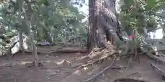 七百餘所神社 の自然