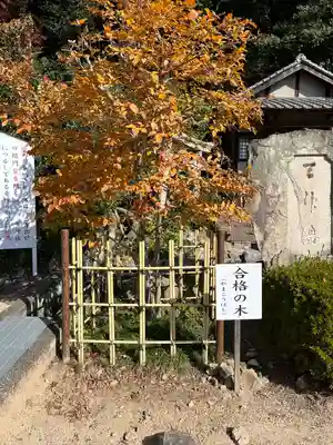 尾長天満宮(広島県)