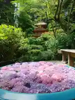 岩船寺(京都府)