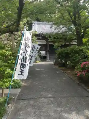 無量寺の{uncategorized: "未分類", other: "その他", undefined: "問題あり", building: "その他建物", grave: "お墓", sacred_gate: "鳥居", guardian: "狛犬", statue: "像", buddha: "仏像", history: "歴史", nature: "自然", garden: "庭園", animal: "動物", pagoda: "塔", temizu: "手水舎", mountain_gate: "山門・神門", sanctuary: "本殿・本堂", subordinate: "末社・摂社", art: "芸術", scenery: "景色", jizo: "地蔵", ema: "絵馬", goshuin: "御朱印", omikuji: "おみくじ", items: "授与品その他", amulet: "お守り", goshuincho: "御朱印帳", eats: "食事", festival: "お祭り", votive_dance: "神楽", shichigosan: "七五三参", wedding: "結婚式", experience: "体験その他", initially: "初詣", around: "周辺", anti_infection: "感染症対策"}
