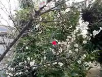 伊勢の国 四天王寺(三重県)