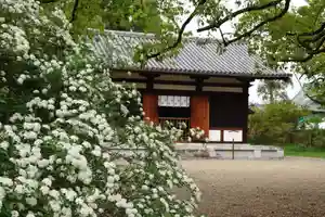 海龍王寺(奈良県)(2025年04月28日(月) 10時34分19秒投稿)